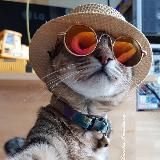 АВТО НИЖЕ РЫНКА