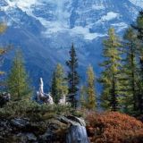 ГОРНОЕ БЕЗУМИЕ - экскурсии по Кавказу