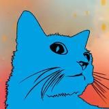 бар «Синий Кот»