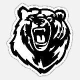 Закарпатський Ґрізлі