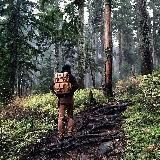 Solare Resonanzphänomene, Schwarze Sonne, Spiritualität, Naturgeist, Universelle Weisheit, 432Hz Schwingung