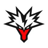 Team Yandex MLBB