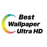 Yoter Up - IT job offers