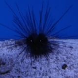 МИЛФШТАБ 💋