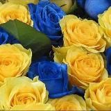 Бабурка Паляниця Юбилейный 20Г