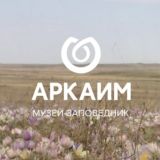АРКАИМ Chat