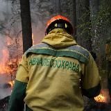 Федеральная Авиалесоохрана