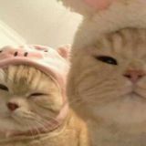 𝚠𝚕𝚏𝚡𝚣🤍