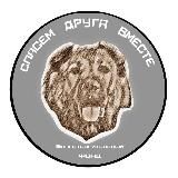 Спасаем собак. Пишем книги.