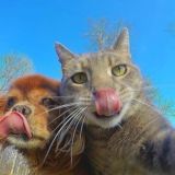 Мини игры💛