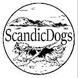 ScandicDogs | для собак и их людей