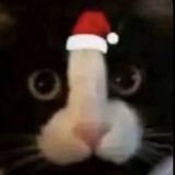 время клоунизма без точки