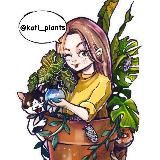 Методичка про грунты 🌿 Kati