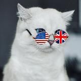🐈🇺🇸 Kitty English 🐈⬛🇬🇧