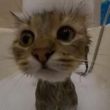 Милые уебки