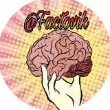 Фактовик