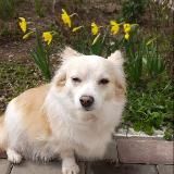 момопие 🫛🍮