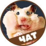 Чат для степной братвы