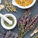 Светлана Травница