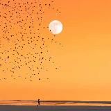 Осколки вечности