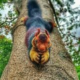 Дикая природа !!!