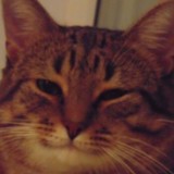 Мемы про инфобизнес