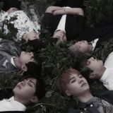 < `Арми-чат ♡