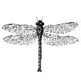 Eric Born Music Official (indie, triphop music)