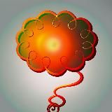 Кучерявые мысли | Психология