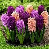 Дачные ХИТРОСТИ 👩🌾