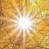 Обсуждение Терапия Души