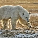 Заповедная Якутия 🌿