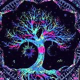 Разнообразие