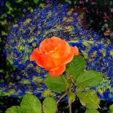 Найди свой театр