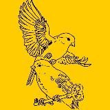 Редевелопмент by Canary