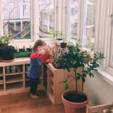 Sunrise Montessori at home