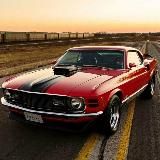 Muscle cars