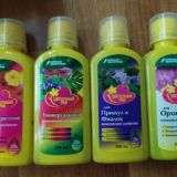 🌺Фиалки сортовые чат🌺