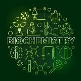 "ВвМ" КРОК_1 БХ