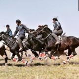 🐎🐎. MUSTANG.🐎🐎 UCHAR. 🐎🐎. OTLAR. 🐎🐎