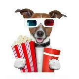 Пацанки 6 | Звезды в Африке