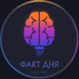 Работа ЧП Челябинск