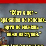 chansibatterflaykartel