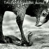 WEDEN & ASATRU Archivarium