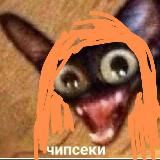 🥕 Матроскины мемы