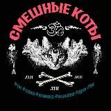 -ॐ☭* Смешные коты *☭ॐ-