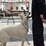 𝙠𝙖𝙩𝙮𝙪𝙨𝙝𝙖 💗🫐