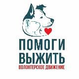 Волонтеры. Якт