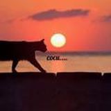 Пикчи на случай важных переговоров🤪