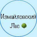 Измайловский лес❤️